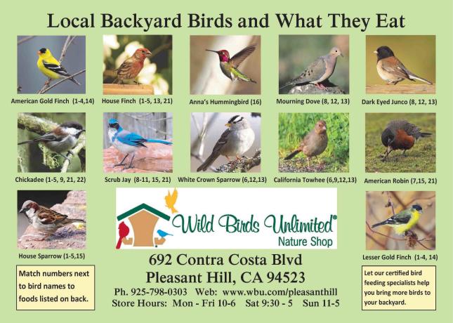 Local Backyard Birds Handout Front