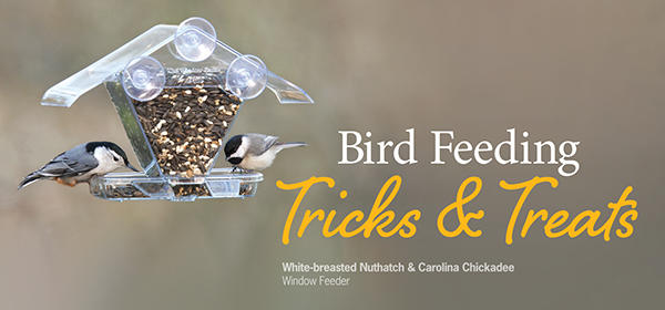 Wild Birds Unlimited - Nature Shop