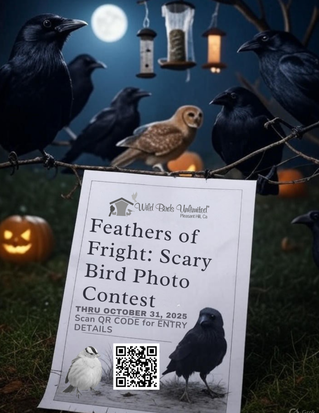 Feathers of Fright Image