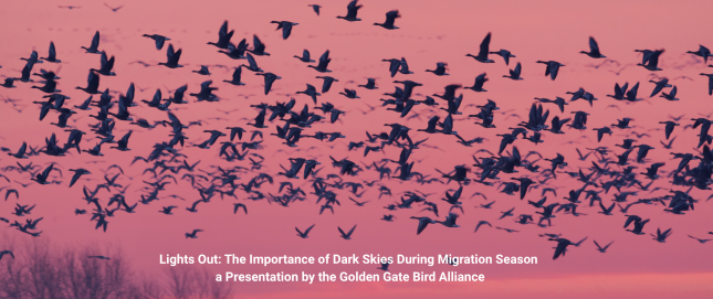 Migration Talk Image